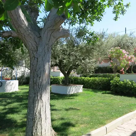 Locazione Turistica Il Giardino Degli Ulivi Citta' Sant'Angelo